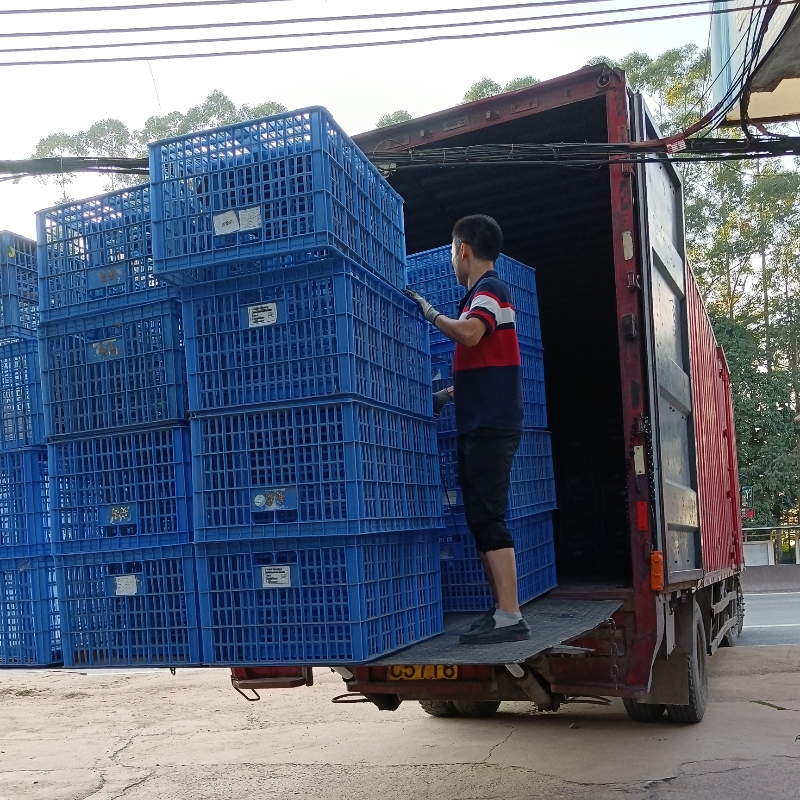 东莞常平寻宝记 层色新、价格优的二手大胶筐，日用百货好帮手